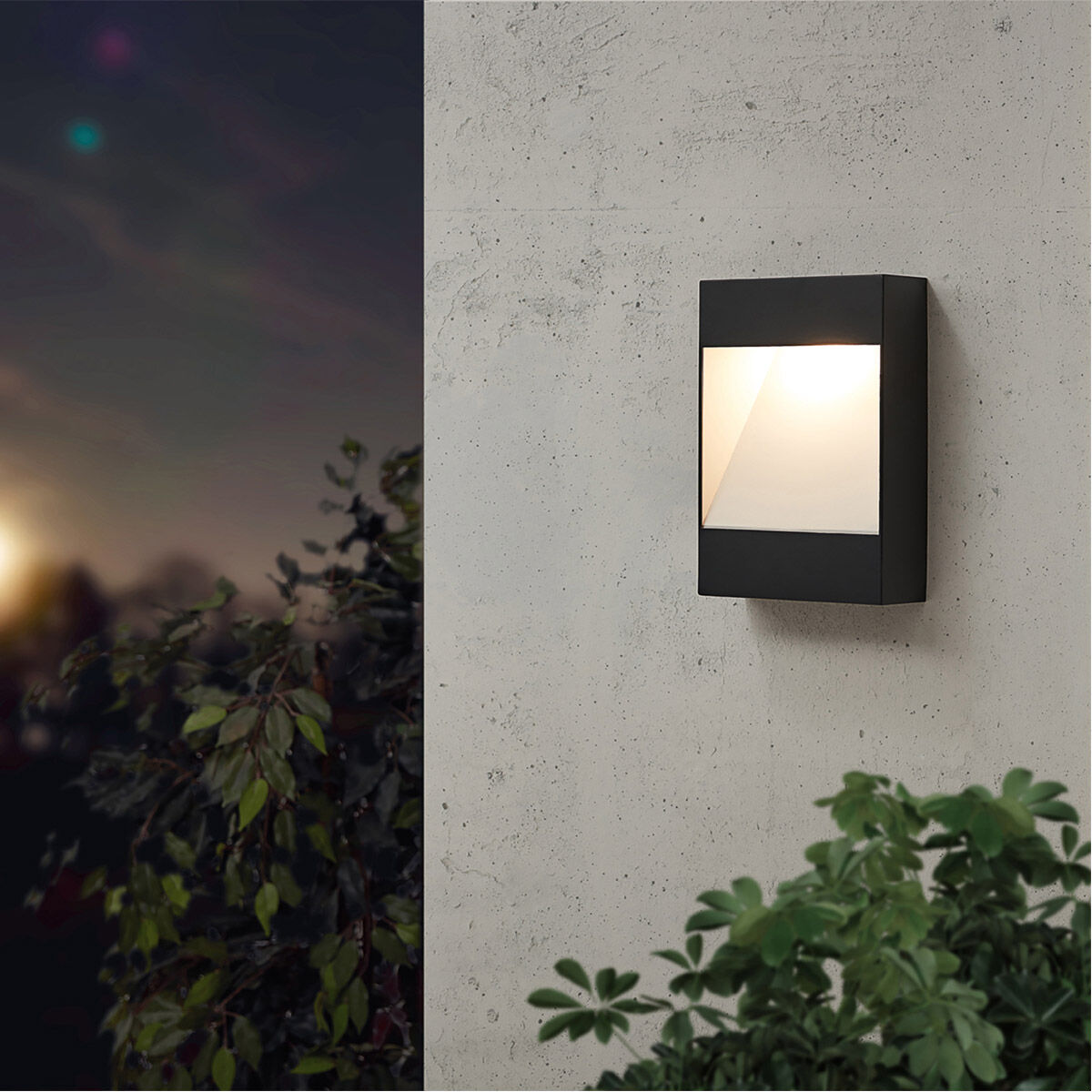 Manfria 1 Light 11.81 inch Black Outdoor Wall Light
