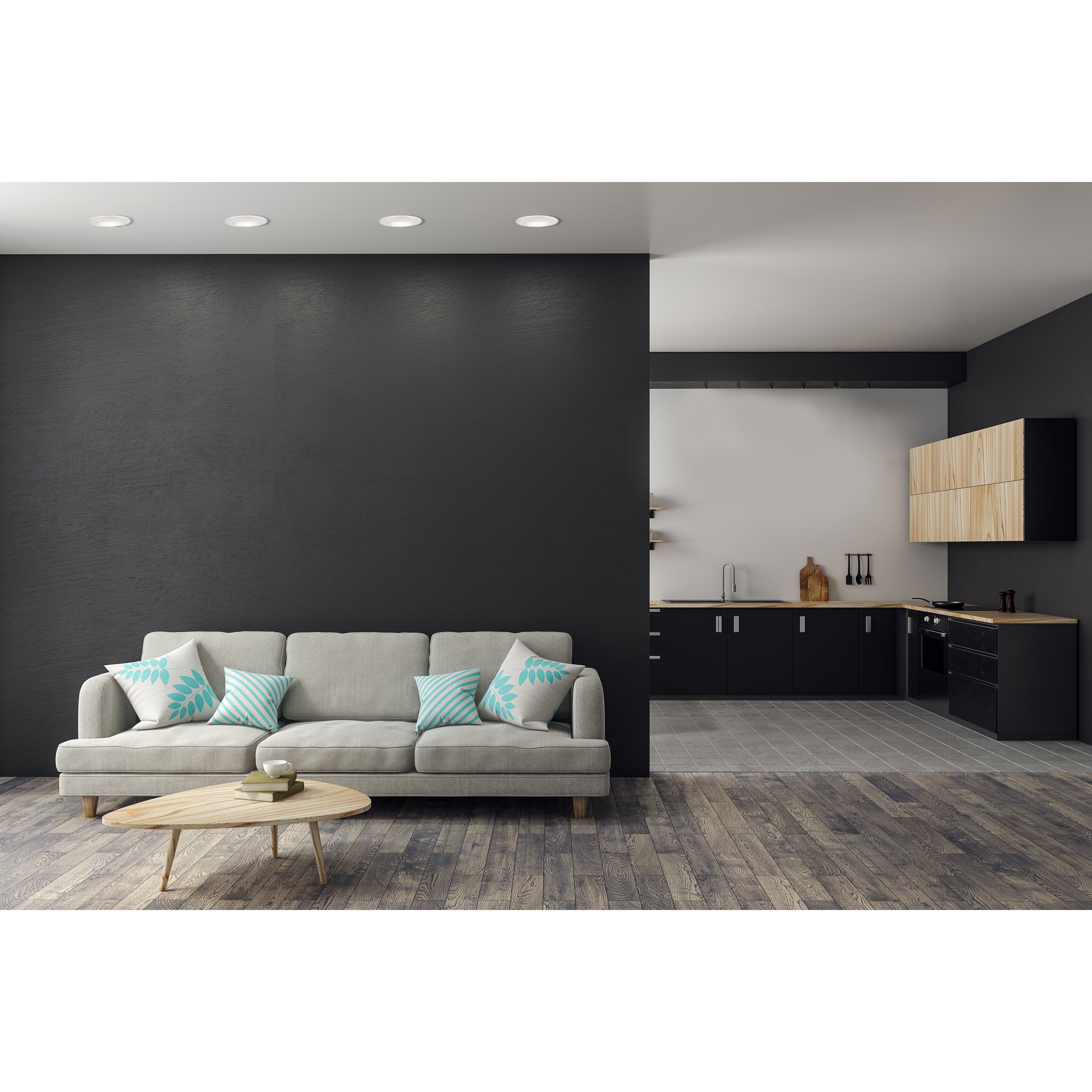 Accessories Integrated LED White Retro Fit Recessed Light