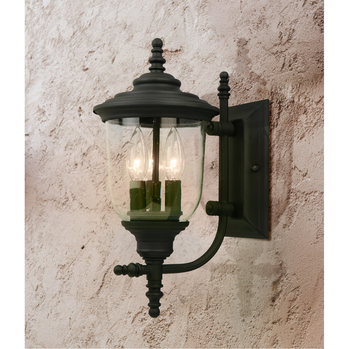 Pinedale Outdoor Wall Light