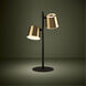 Altamira 20 inch 5.00 watt Structured Black and Brass Table Lamp Portable Light