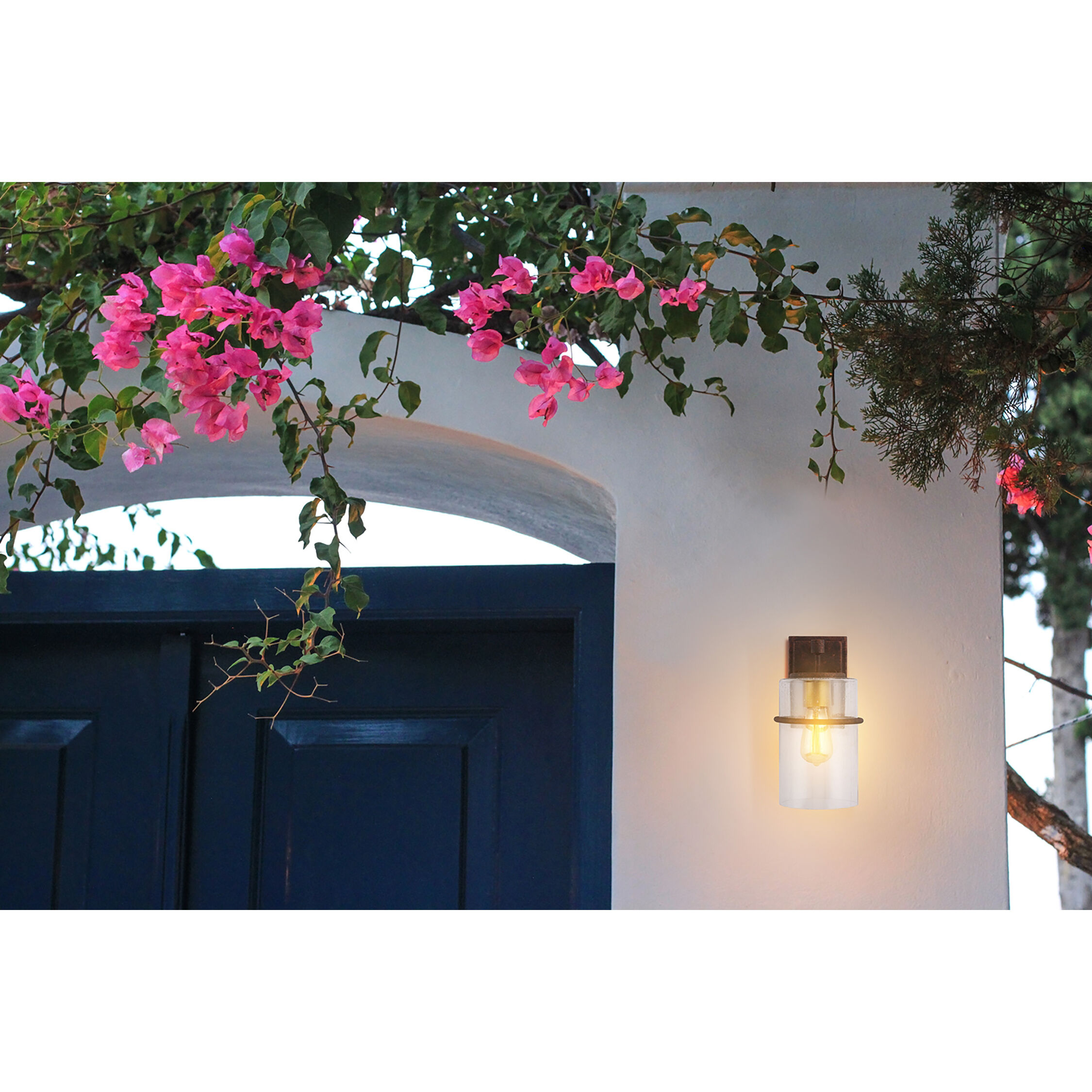 Brandel Outdoor Wall Sconce