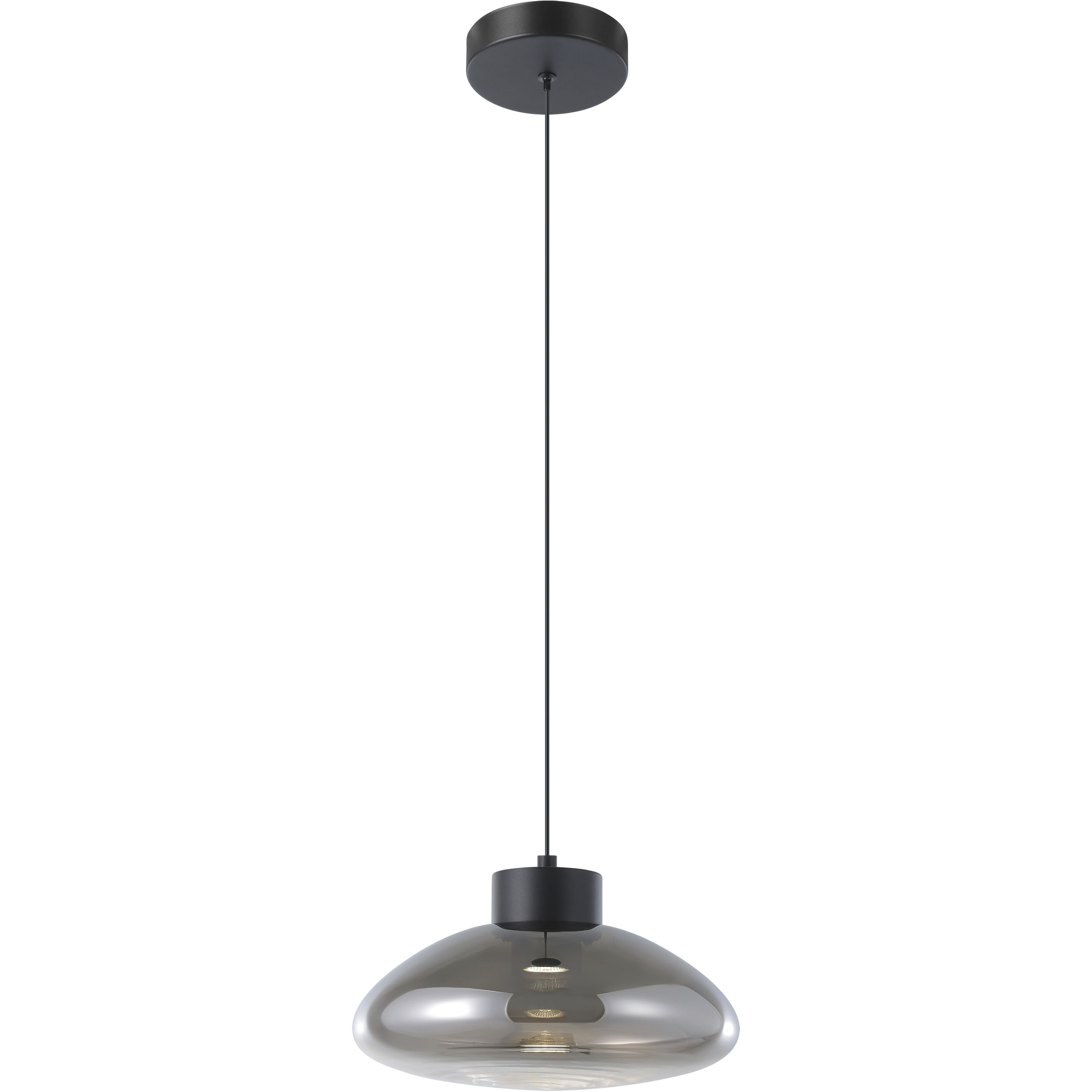 Sarnarra LED 12 inch Black Pendant Ceiling Light