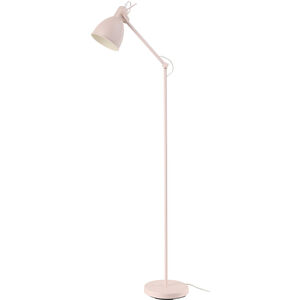 Priddy 44 inch 60.00 watt Apricot Floor Lamp Portable Light