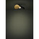 Saceda 1 Light 20.87 inch Black and Gold Leaf Convertible Pendant Ceiling Light