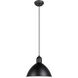 Priddy 1 Light 12 inch Black Pendant Ceiling Light