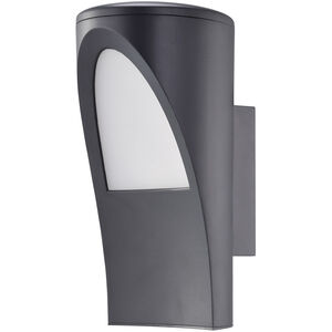 Propenda 1 Light 11 inch Anthracite Outdoor Wall Light