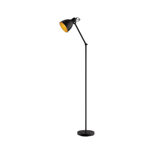 Priddy 2 54 inch 60.00 watt Black Floor Lamp Portable Light