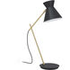 Amezaga 21 inch 60.00 watt Structured Black and Brushed Brass Table Lamp Portable Light
