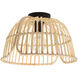 Glyneath 1 Light 14.75 inch Structured Black Ceiling Light
