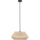 Alderney 1 Light 18.9 inch Black Convertible Pendant Ceiling Light
