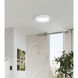 Palomaro LED 20 inch White Flush Mount Ceiling Light