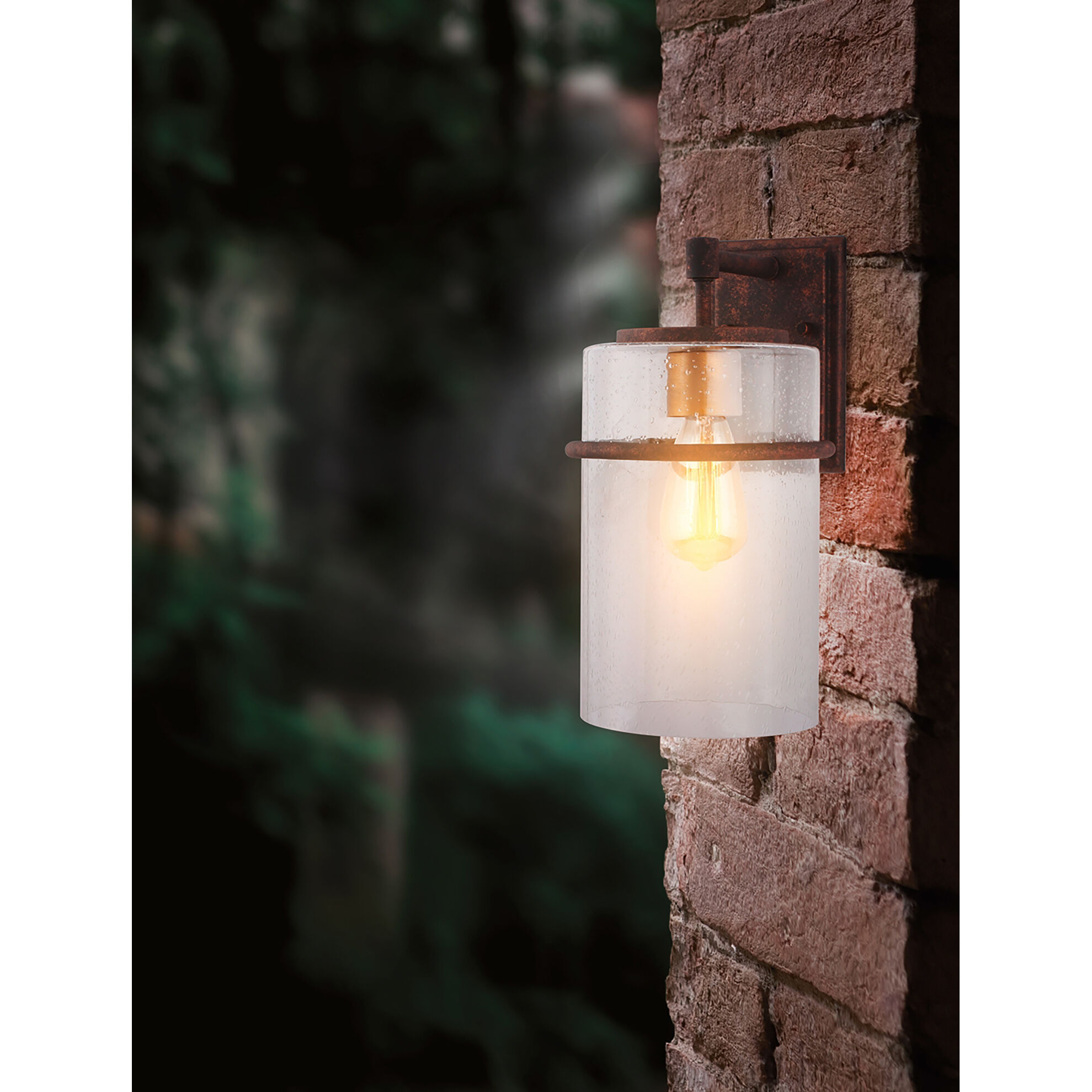 Brandel Outdoor Wall Sconce