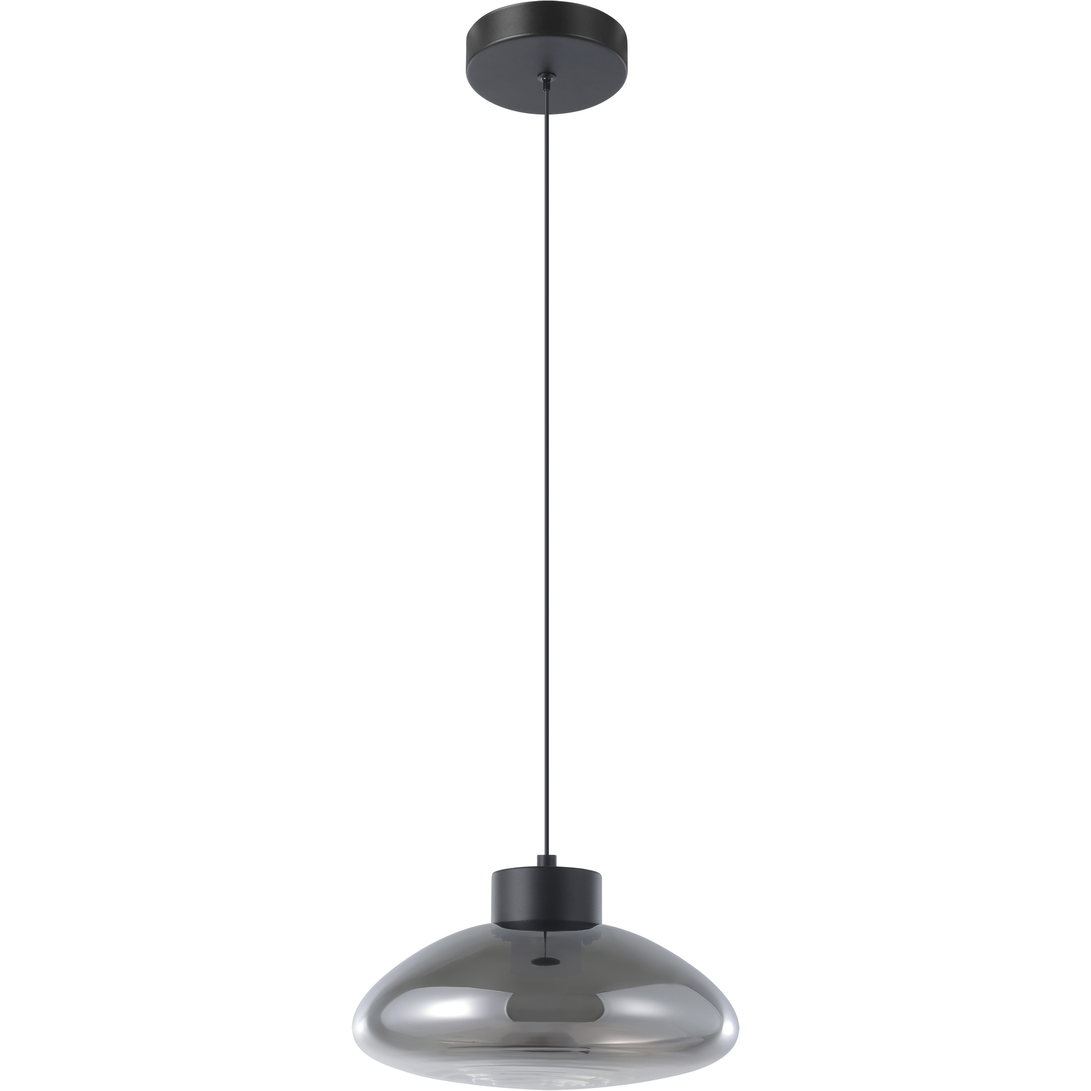 Sarnarra LED 12 inch Black Pendant Ceiling Light